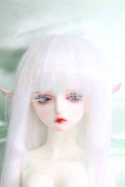 画像1: Gem Of Doll/Gaia フルセット I-24-03-03-1004-TO-ZI