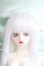 画像1: Gem Of Doll/Gaia フルセット I-24-03-03-1004-TO-ZI (1)