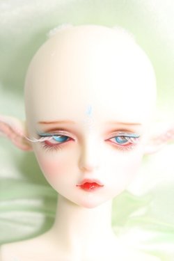 画像2: Gem Of Doll/Gaia フルセット I-24-03-03-1004-TO-ZI