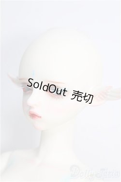 画像3: Gem Of Doll/Gaia フルセット I-24-11-17-1004-TO-ZI