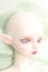 画像4: Gem Of Doll/Gaia フルセット I-24-03-03-1004-TO-ZI