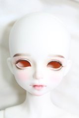 Myou Doll/Zuzana:文学少女 Literature Limited I-24-03-03-1003-KN-ZI