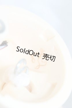 画像5: SDGIRL/ワンオフ：ナナ Sweet Dream ver. I-24-03-03-1008-KN-ZI