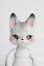 画像1: KUMUKUKU　DOLL/PETAL VILL:Xass I-24-03-24-1013-KN-ZI (1)
