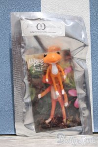 【新宿マルイアネックス店 店頭販売商品】フォーチュンワンダ/アミュー・シオン　2100110000009300-ZM