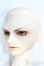 画像3: SD17BOY/間 黒男(ヤングブラックジャック) I-24-11-17-1001-TO-ZI
