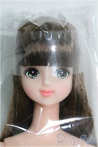 【SALE】キャッスル/みらい:おたのしみドール I-24-11-10-1068-TO-ZI