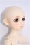 画像3: 【SALE】Dear SD/翔 I-24-10-20-1001-KN-ZI