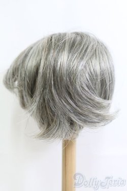 画像3: 9〜10inch程度/ウィッグ I-25-06-22-2025-TO-ZI