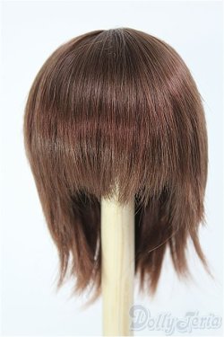 画像1: 【SALE】8〜9inch/ウィッグ I-24-11-24-2027-TO-ZI