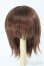 画像1: 【SALE】8〜9inch/ウィッグ I-24-11-24-2027-TO-ZI (1)