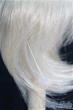 画像3: 【SALE】7〜8inch/ウィッグ I-24-12-29-2045-TN-ZI
