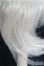 画像3: 【SALE】7〜8inch/ウィッグ I-24-12-29-2045-TN-ZI (3)
