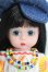 画像1: マダムアレクサンダー/1970 Groovy Girl I-25-03-30-1098-TO-ZI (1)