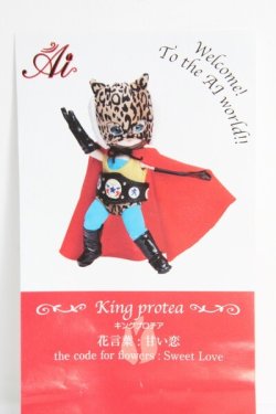 画像1: 球体関節人形Ai/King Protea(キングプロティア) I-24-04-21-1081-TO-ZI