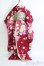 画像1: SD16GIRL/OF：着物 I-25-04-27-1058-KN-ZI (1)