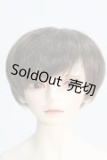 LUTS/Model Delf TERRA I-24-04-21-1009-KN-ZI