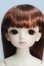 画像1: 【SALE】SDM/コーディネートモデル F-95 I-24-04-28-1007-TO-ZI (1)
