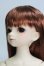 画像2: 【SALE】SDM/コーディネートモデル F-95 I-24-04-28-1007-TO-ZI (2)