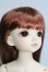 画像3: 【SALE】SDM/コーディネートモデル F-95 I-24-04-28-1007-TO-ZI