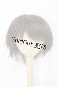 9〜10inch/ウィッグ I-25-01-19-2027-TO-ZI