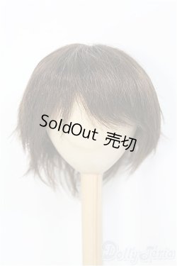 画像1: 9〜10inch/ウィッグ I-25-01-19-2027-TO-ZI