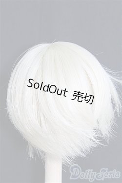 画像2: 【SALE】7〜8inch/ウィッグ I-24-12-29-2042-GN-ZI