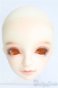 SD/フルチョイス:F-53ヘッド I-25-03-02-1036-GN-ZI