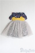 1/6(22cm)ドール/OF ワンピース I-25-01-12-3167-TO-ZI