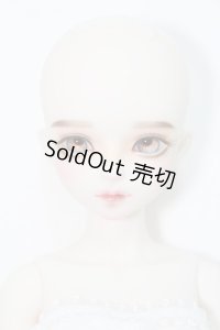 Myou Doll/Delia：文学少女 Literature Limited I-24-05-19-1007-TO-ZI