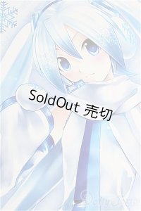 DD/雪ミク I-24-06-16-1004-TO-ZI