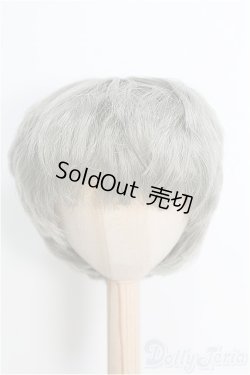 画像1: 【SALE】8~9inch/ウィッグ：カラー I-25-01-05-3047-TO-ZI