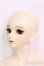 画像2: 【SALE】BJD CROBI/R-line ZION I-24-06-16-1012-TO-ZI (2)