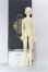 画像5: 【SALE】BJD CROBI/R-line ZION I-24-06-16-1012-TO-ZI (5)