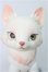 画像1: 【SALE】BLACKBOX/天狐ーSAKURA MOCHIー I-24-12-29-1010-TO-ZI (1)
