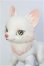 画像2: 【SALE】BLACKBOX/天狐ーSAKURA MOCHIー I-24-12-29-1010-TO-ZI (2)