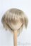 画像1: 9〜10inch/ウィッグ I-25-02-23-2025-TO-ZI (1)