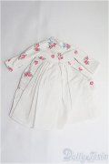 1/6(22cm)ドール/OF ワンピース I-25-04-13-2147-TO-ZI