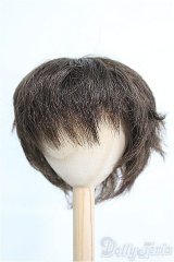 9〜10inch/ウィッグ I-25-03-09-2021-TO-ZI