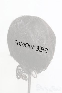 画像2: 12〜13inch/ウィッグ I-25-03-16-2024-TO-ZI