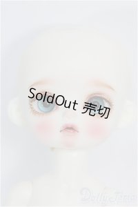 【SALE】Petit Soiree/Muffinヘッド+Rosenlied Monday's Childボディ I-24-08-04-1005-TO-ZI