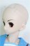 画像5: 【SALE】DD/涼宮ハルヒ I-24-08-18-1003-TO-ZI
