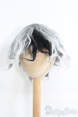 画像1: 9〜10inch/ボアウィッグ I-25-05-04-3024-TO-ZI