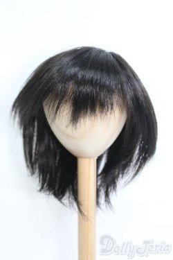 画像1: 8〜9inch/ウィッグ I-25-05-25-2026-TO-ZI