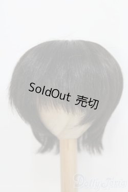 画像1: 8〜9inch/ウィッグ/ I-25-07-13-2023-TO-ZI