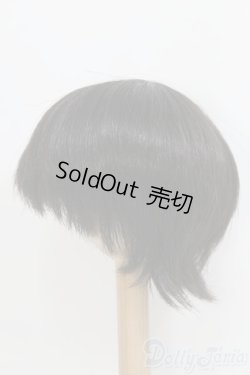 画像2: 8〜9inch/ウィッグ/ I-25-07-13-2023-TO-ZI