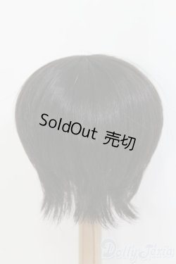 画像3: 8〜9inch/ウィッグ/ I-25-07-13-2023-TO-ZI