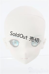 DD/ソードアート・オンラインII シノンヘッド I-24-08-11-1064-TO-ZI