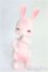 画像1: cocoriang/Tobi~SAKURA Limited~ I-25-02-09-1010-TO-ZI (1)