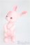 画像2: cocoriang/Tobi~SAKURA Limited~ I-25-02-09-1010-TO-ZI (2)